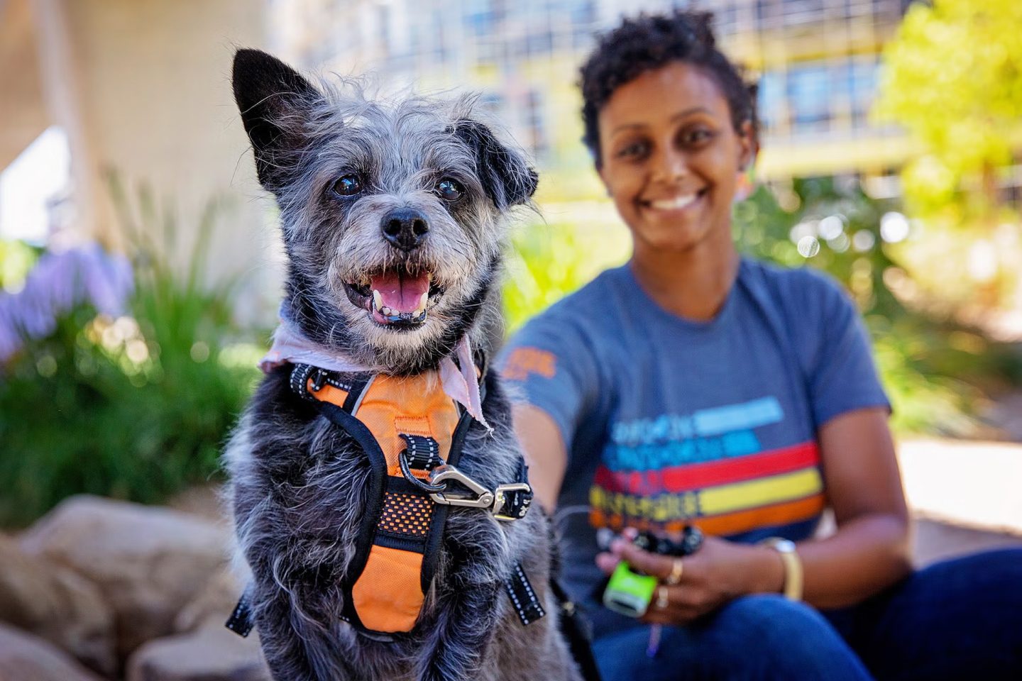 woman with a cute rescue dog in a harness