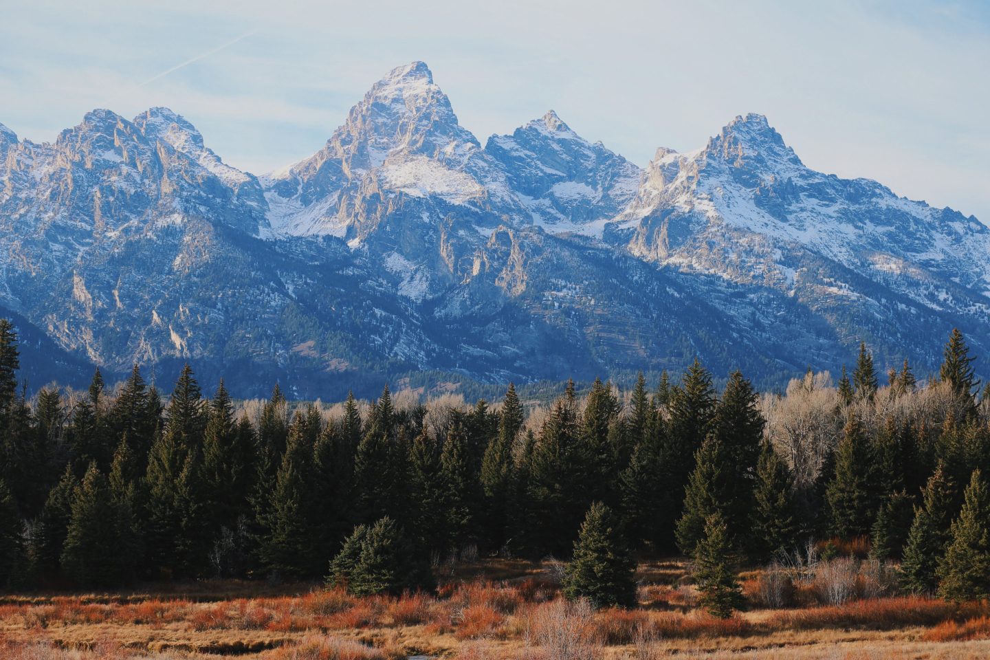 the teton mountain range with a forest in the foreground