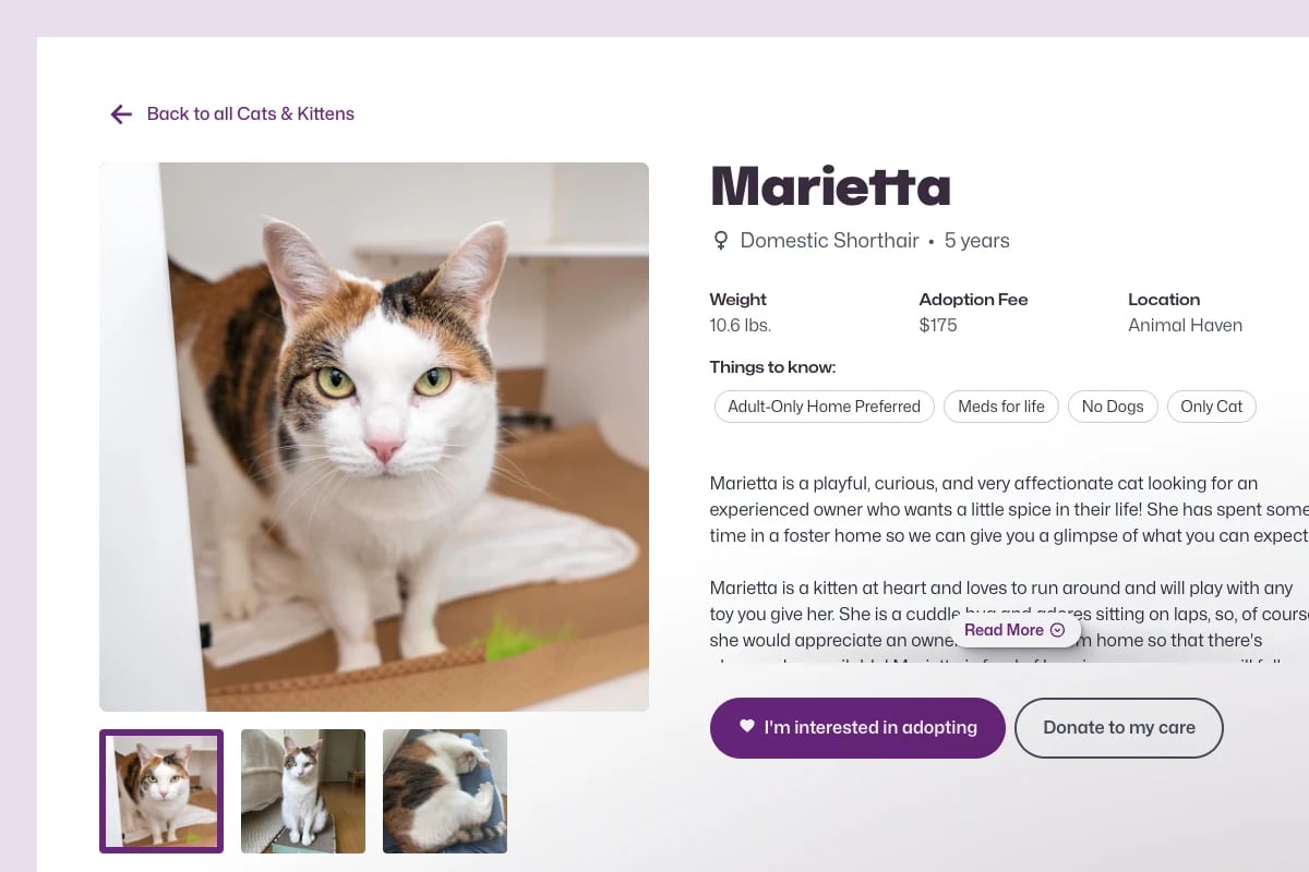 Animal Haven pet page design