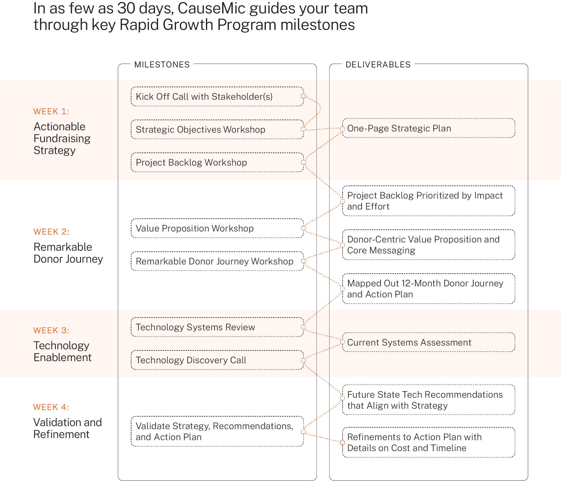 Program Miolestones CauseMic Foundation | Rapid Growth Program Capacity Grant – CauseMic