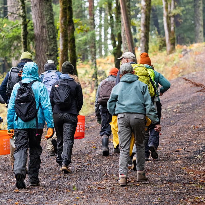 A group of volunteers walk down a dirt road