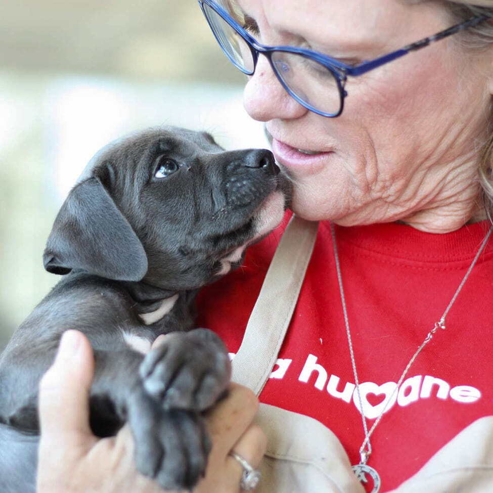 A nonprofit volunteer holding a puppy